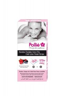Castela Professional POLLIE GEL POST DEPILACION 500ML